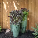 Dallas landscaping design project