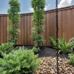 Dallas landscaping design project