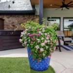 Dallas landscaping design project